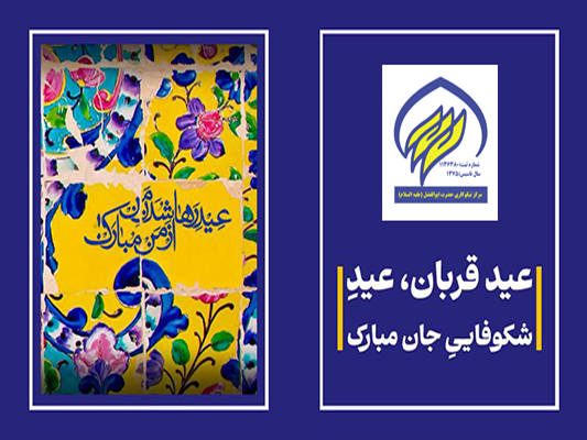 گزارش تصویری ذبح و قربانی ۲۰ راس گوسفند روز عید قربان